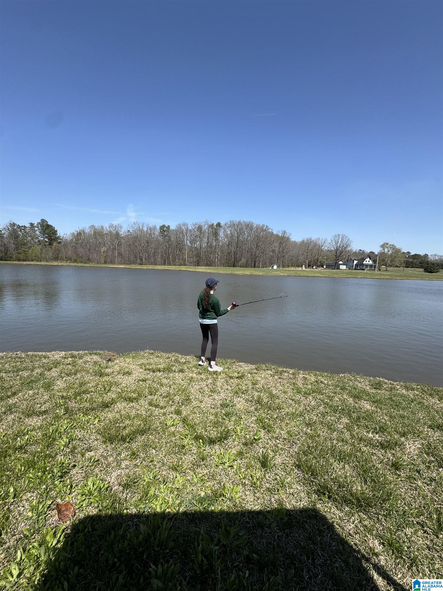 1035 Pleasant Valley Road Rainbow City, AL 35906 - Photo 16 of 25 Gallery Image 16