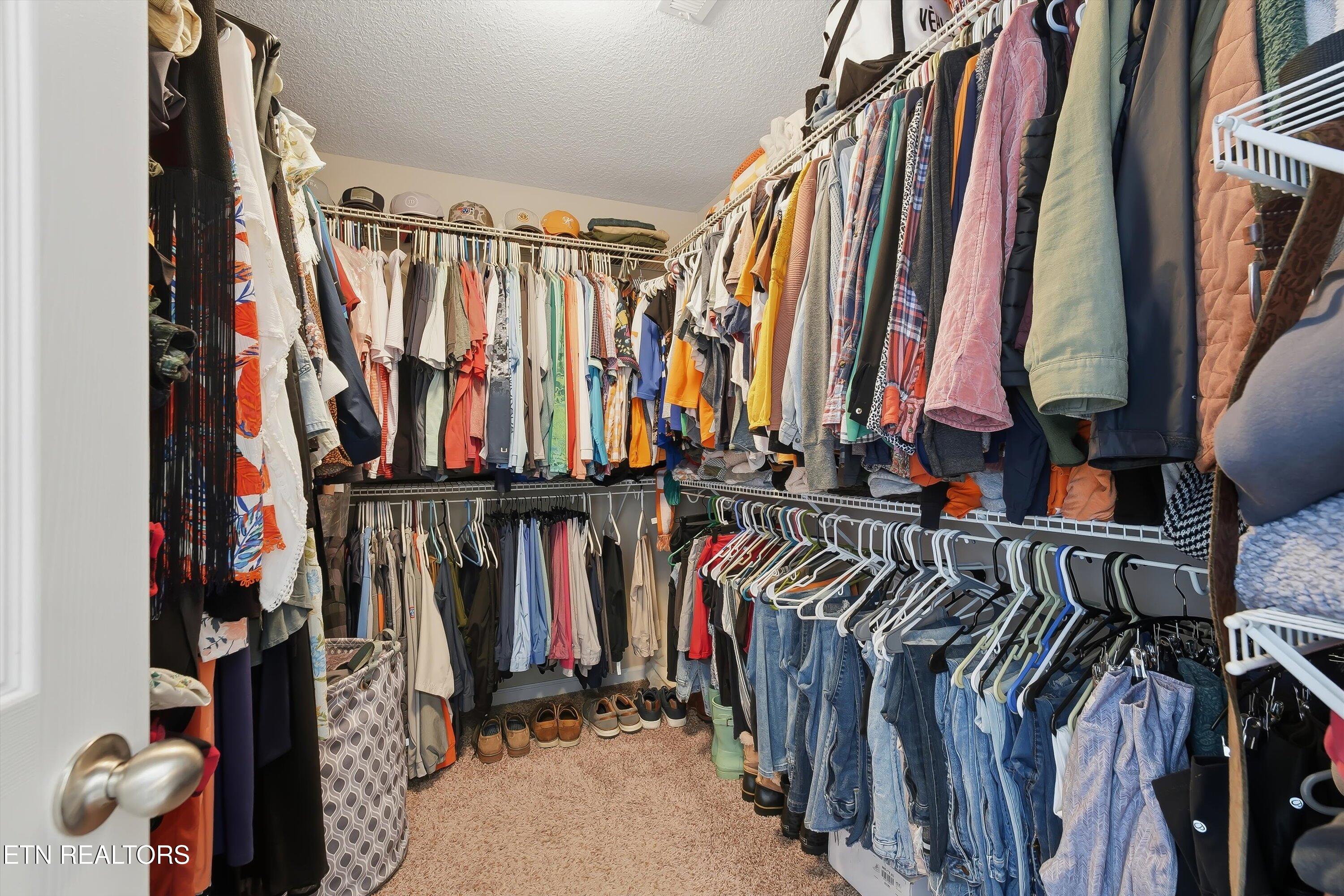 8508 Bowsong Lane Powell, TN 37849 - Photo 14 of 28 Primary Closet