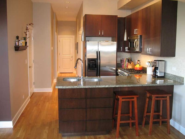 6 North May Street, Unit 201 Chicago, IL 60607 - Photo 2 of 10 a kitchen with granite countertop a sink cabinets and stainless steel appliances