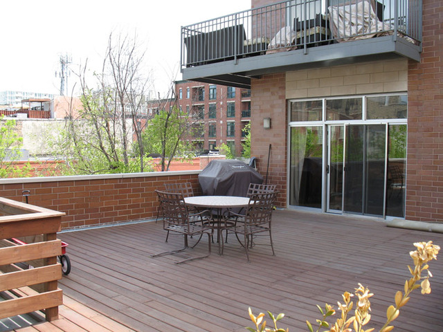 6 North May Street, Unit 201 Chicago, IL 60607 - Photo 10 of 10 a roof deck with table and chairs and potted plants
