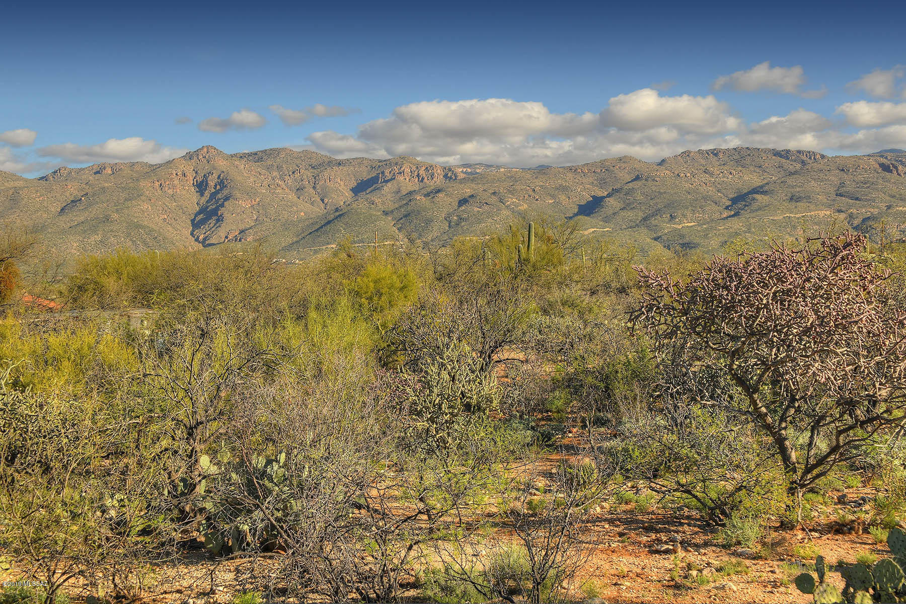 12350 East Prince Road Tucson, AZ 85749 - Photo 33 of 44 Gallery Image 33