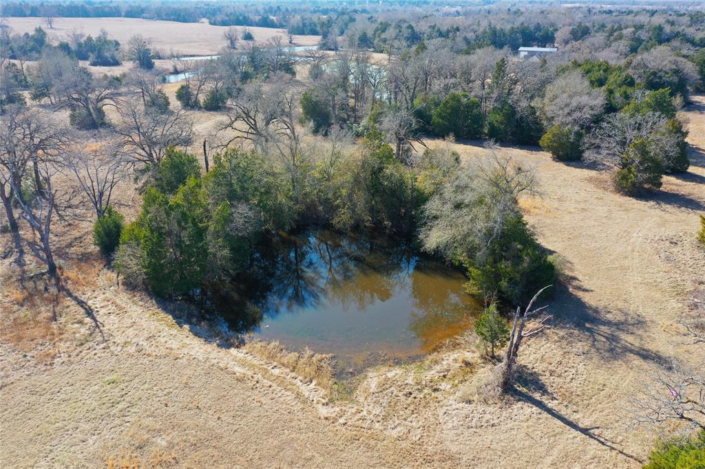 755 Fcr 601 Fairfield, TX 75840 - Photo 6 of 15 Pond at the back of the property