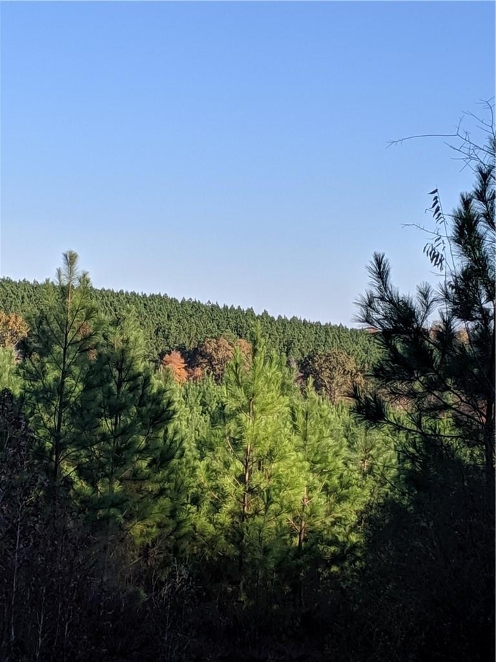 0 Blair Road Cedartown, GA 30125 - Photo 1 of 1 a view of a bunch of trees and bushes