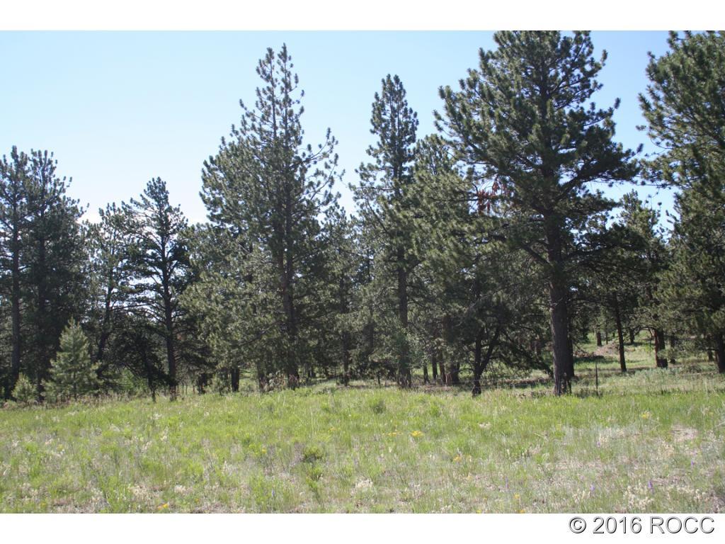 2995 Wagon Wheel Road Hartsel, CO 80449 - Photo 1 of 9 Gallery Image 1
