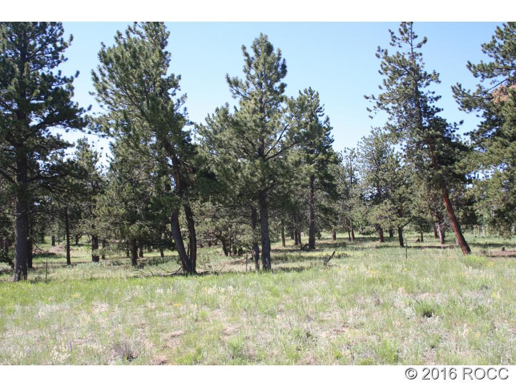 2995 Wagon Wheel Road Hartsel, CO 80449 - Photo 2 of 9 Gallery Image 2