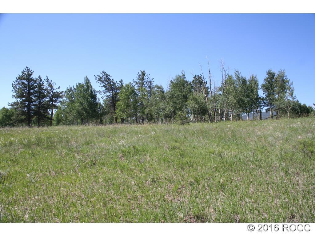 2995 Wagon Wheel Road Hartsel, CO 80449 - Photo 3 of 9 Gallery Image 3