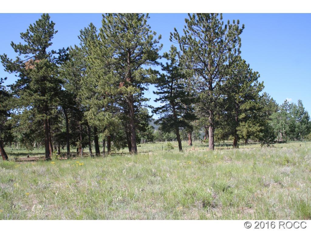 2995 Wagon Wheel Road Hartsel, CO 80449 - Photo 4 of 9 Gallery Image 4