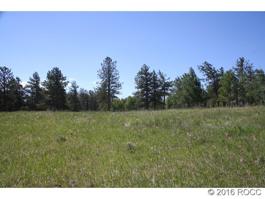 2995 Wagon Wheel Road Hartsel, CO 80449 - Photo 5 of 9 Gallery Image 5