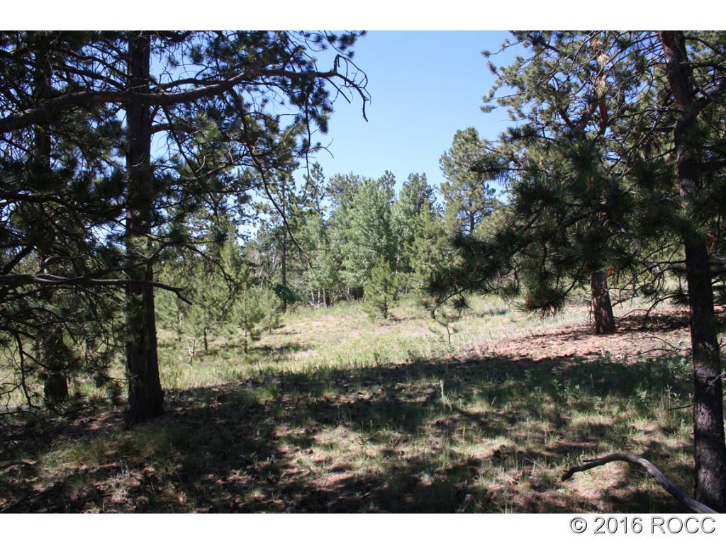 2995 Wagon Wheel Road Hartsel, CO 80449 - Photo 6 of 9 Gallery Image 6