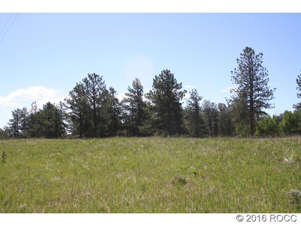 2995 Wagon Wheel Road Hartsel, CO 80449 - Photo 7 of 9 Gallery Image 7