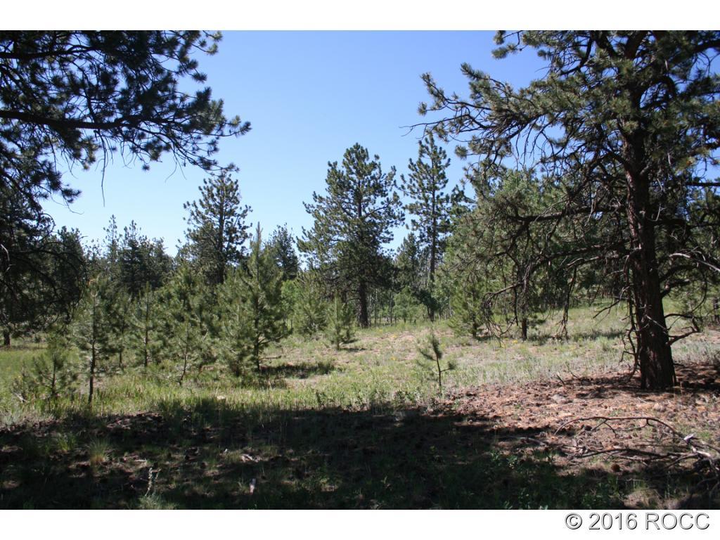 2995 Wagon Wheel Road Hartsel, CO 80449 - Photo 8 of 9 Gallery Image 8