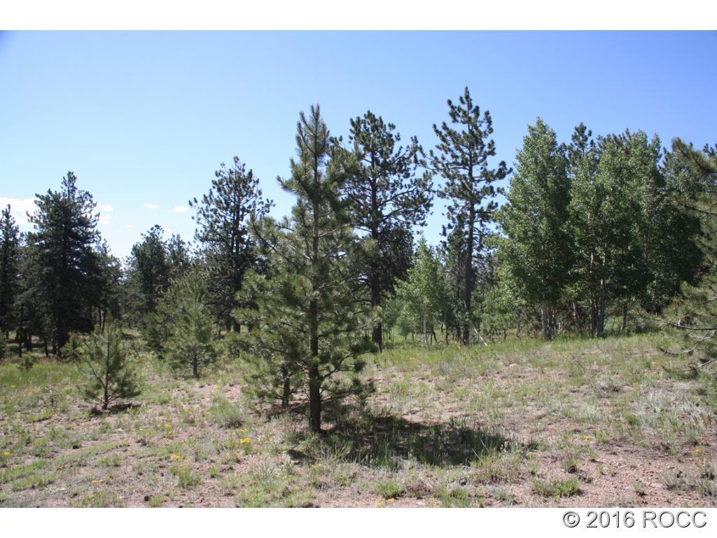 2995 Wagon Wheel Road Hartsel, CO 80449 - Photo 9 of 9 Gallery Image 9