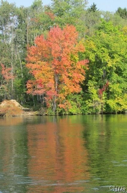 5 Hamilton Way Phoenix, NY 13135 - Photo 44 of 50