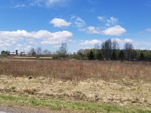 Lot 13 Sloping Meadow Road Marshfield, WI 54449 - Photo 1 of 1