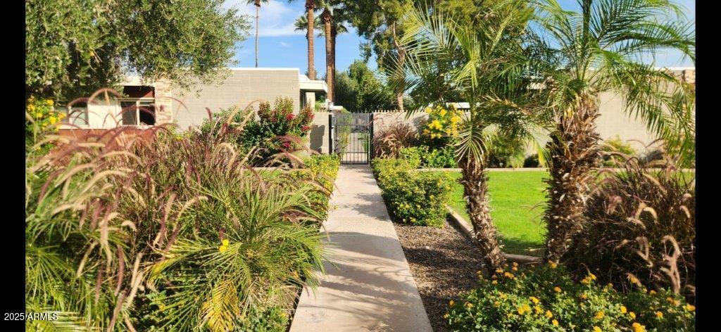 4419 North 27th Street, Unit 2 Phoenix, AZ 85016 - Photo 32 of 37 a picture of flowers in front of yellow house