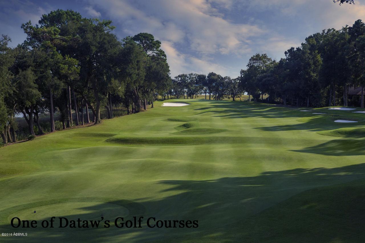 50 South Boone Road St. Helena Island, SC 29920 - Photo 30 of 41 Dataw_Golf Course beauty shot