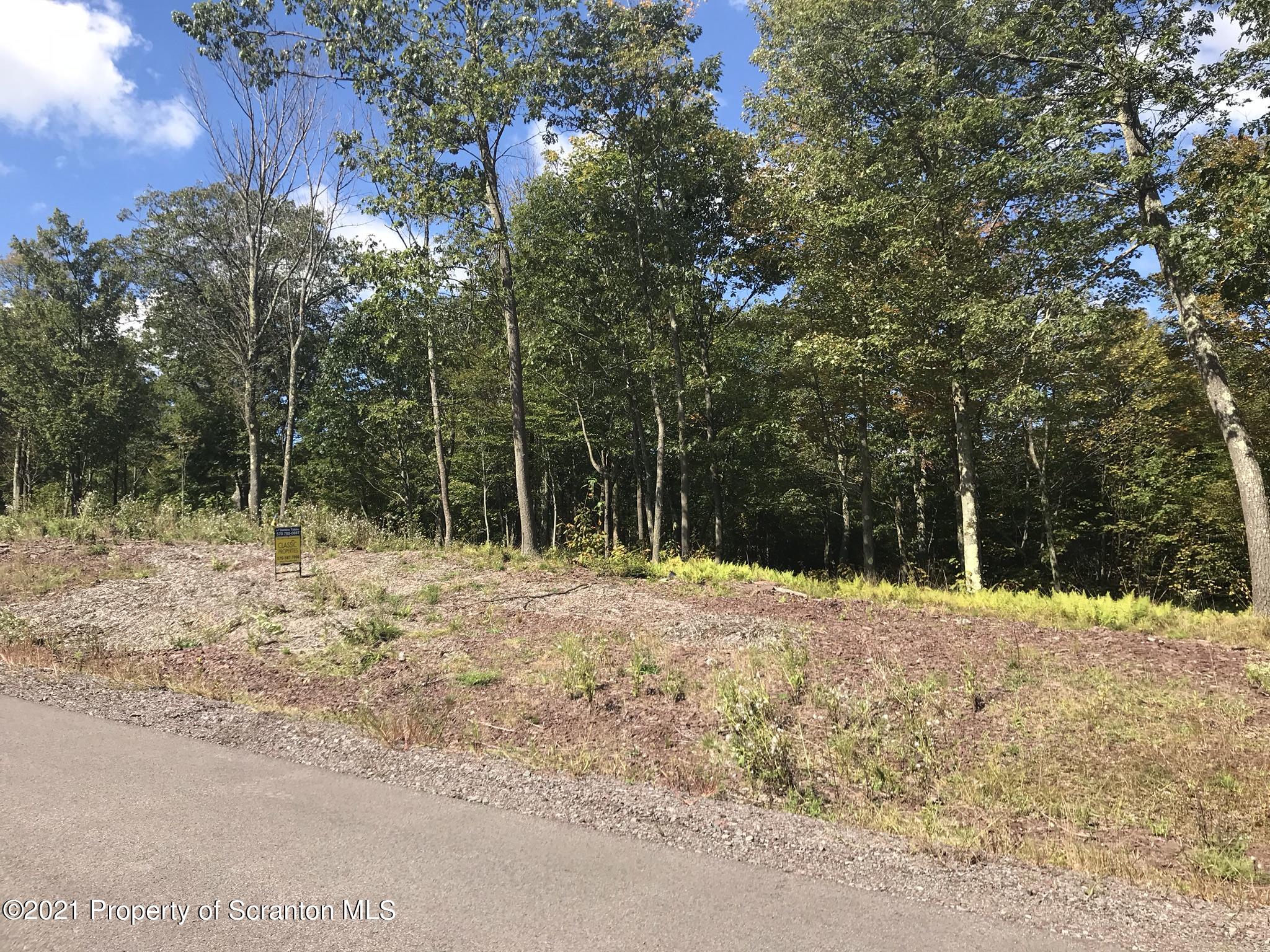 Lot 145 Summit Woods Road Moscow, PA 18444 - Photo 4 of 4 a view of a yard with trees
