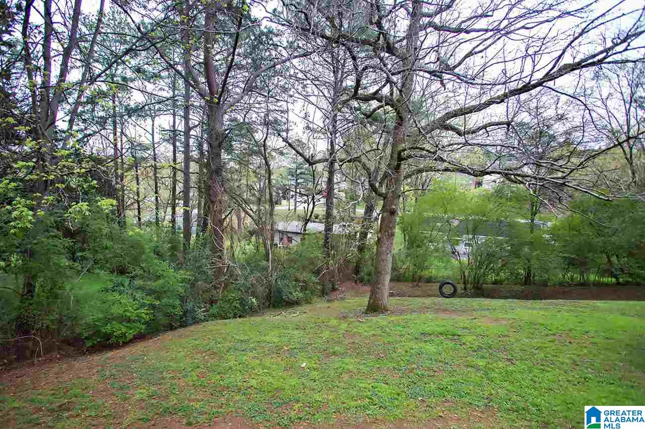 2153 Chapel Hill Road Birmingham, AL 35216 - Photo 21 of 28