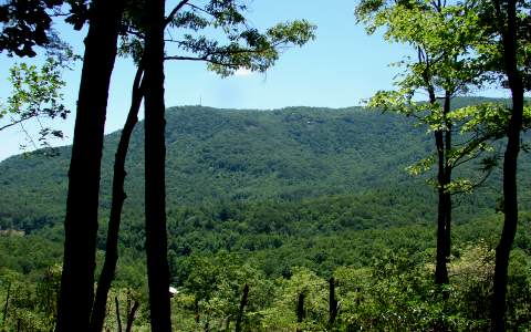 532 Ridge Trail Blue Ridge, GA 30513 - Photo 1 of 1 Main View