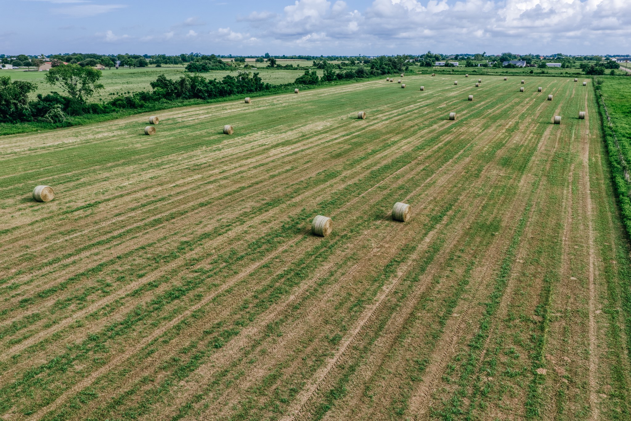 0 Richard Frey Road Waller, TX 77484 - Photo 15 of 23