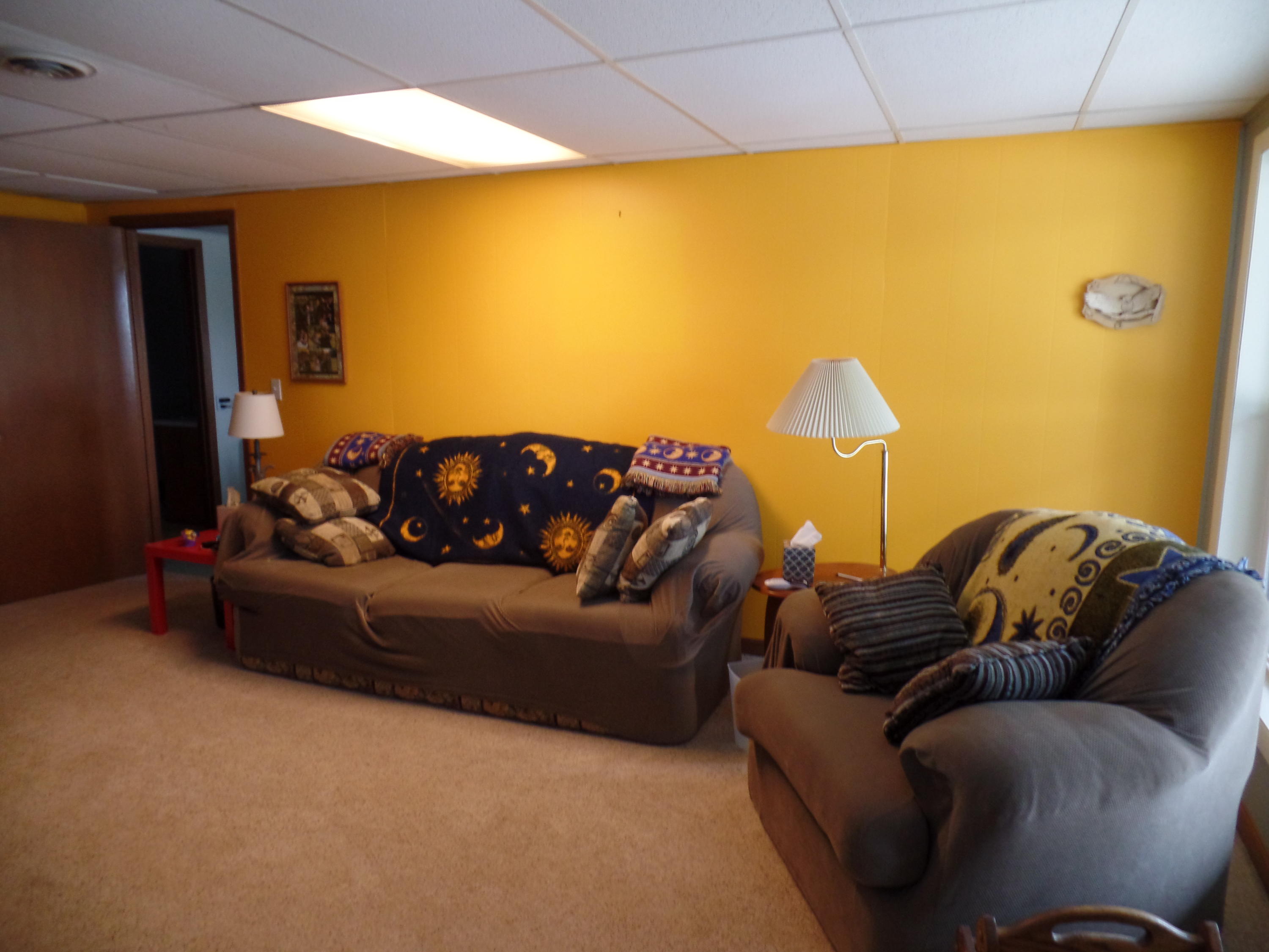 845 Toestring Cove Rd Spring Spring City, TN 37381 - Photo 13 of 43 SAM_1925