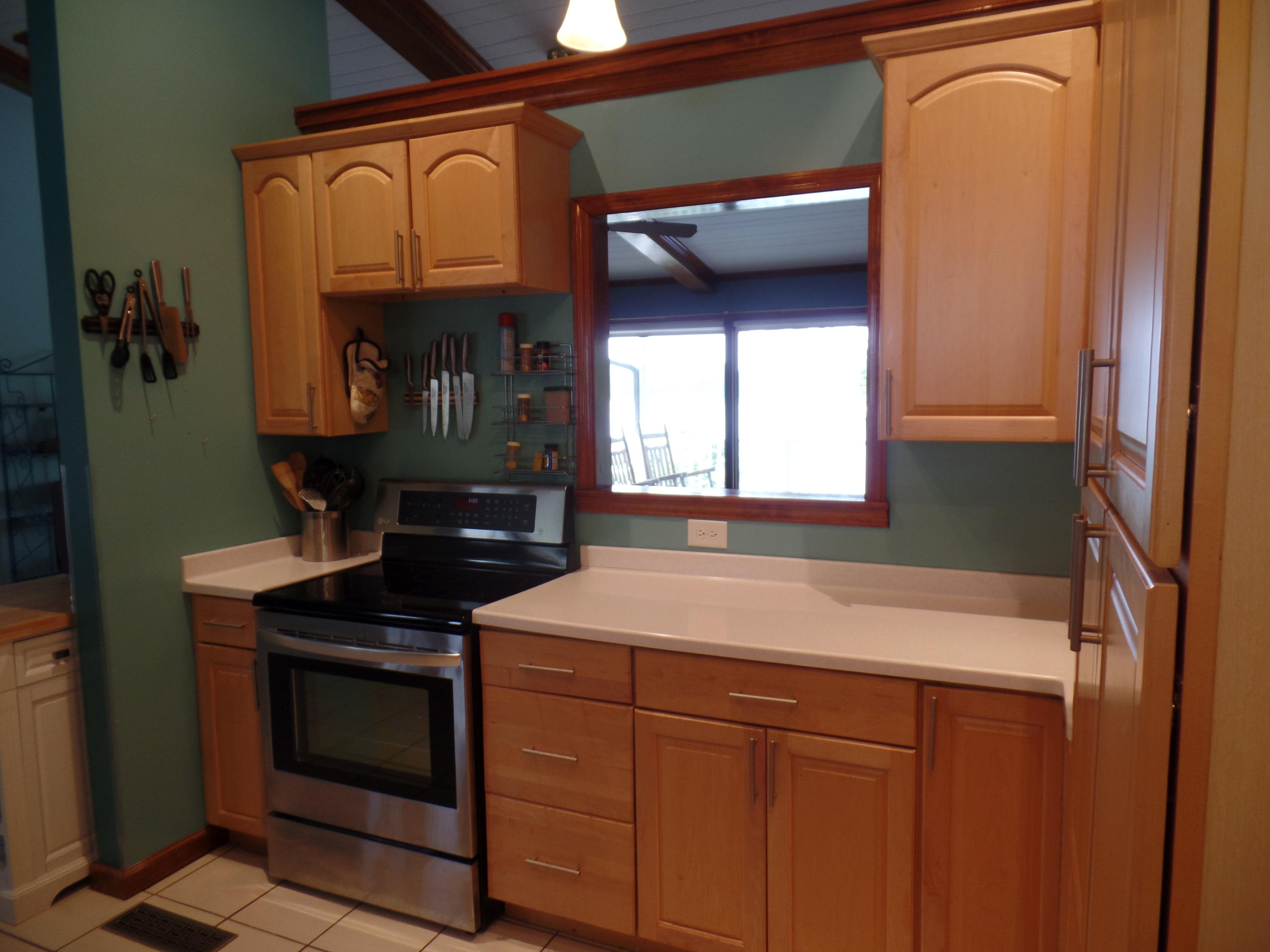 845 Toestring Cove Rd Spring Spring City, TN 37381 - Photo 17 of 43 SAM_1915