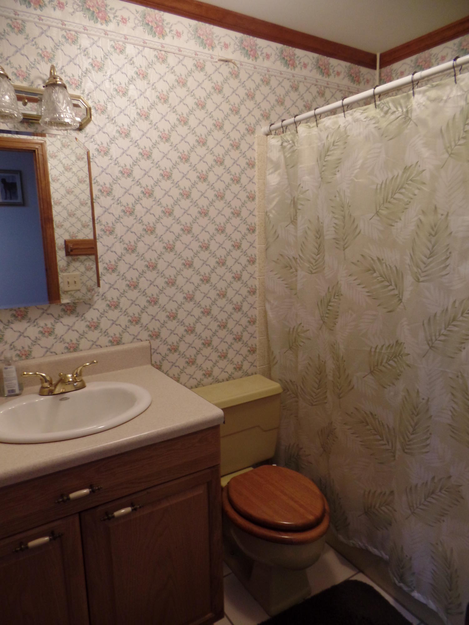 845 Toestring Cove Rd Spring Spring City, TN 37381 - Photo 21 of 43 SAM_1921