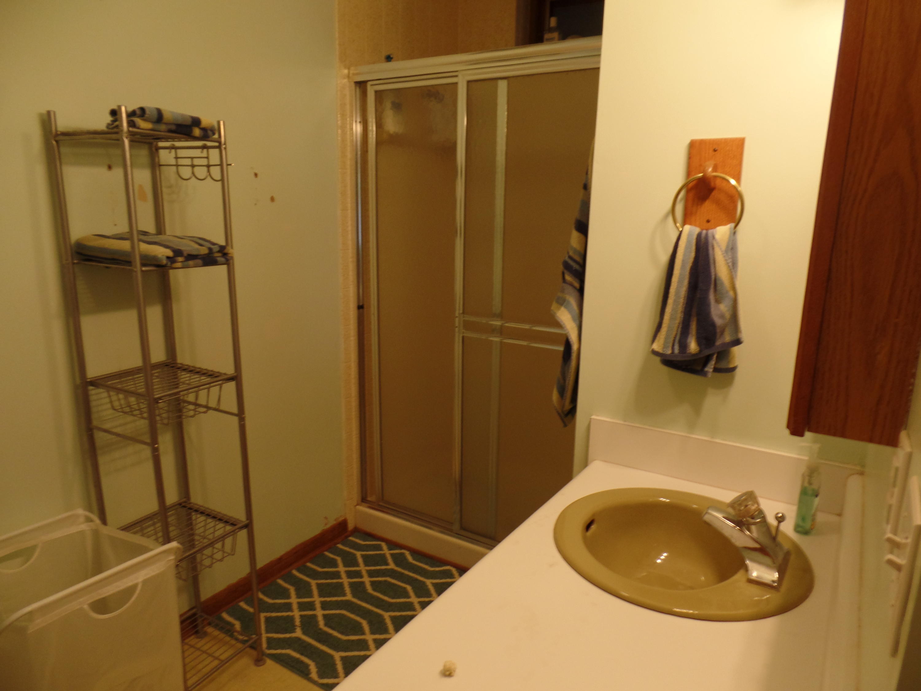 845 Toestring Cove Rd Spring Spring City, TN 37381 - Photo 22 of 43 SAM_1927