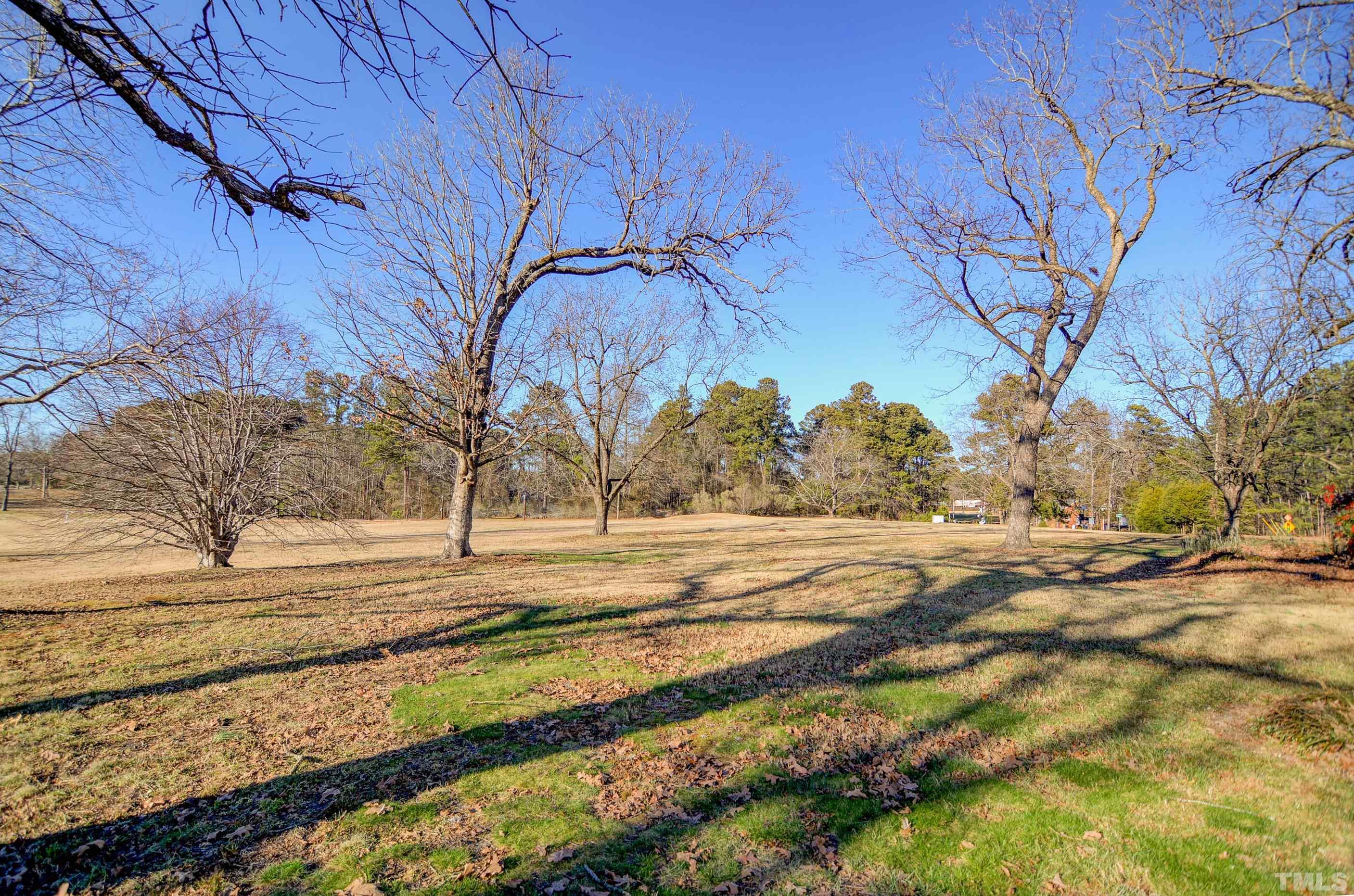 4740 Auburn Knightdale Road Raleigh, NC 27610 - Photo 9 of 23 a view of a yard with trees