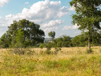 $850,000 | Lot 11 Maddalena Lane, Dripping Springs, TX 78620