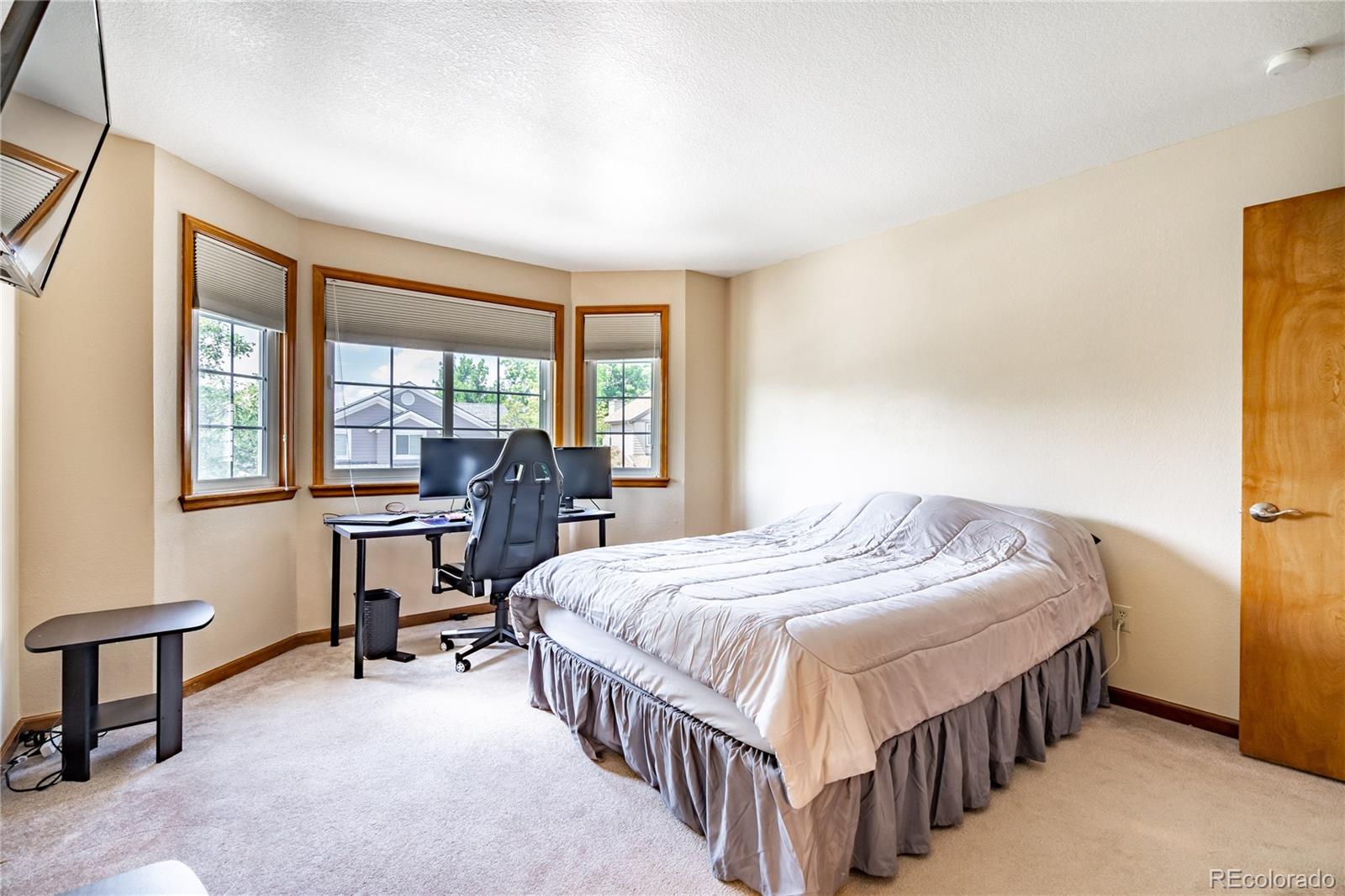 9174 Sugarstone Circle Highlands Ranch, CO 80130 - Photo 20 of 35