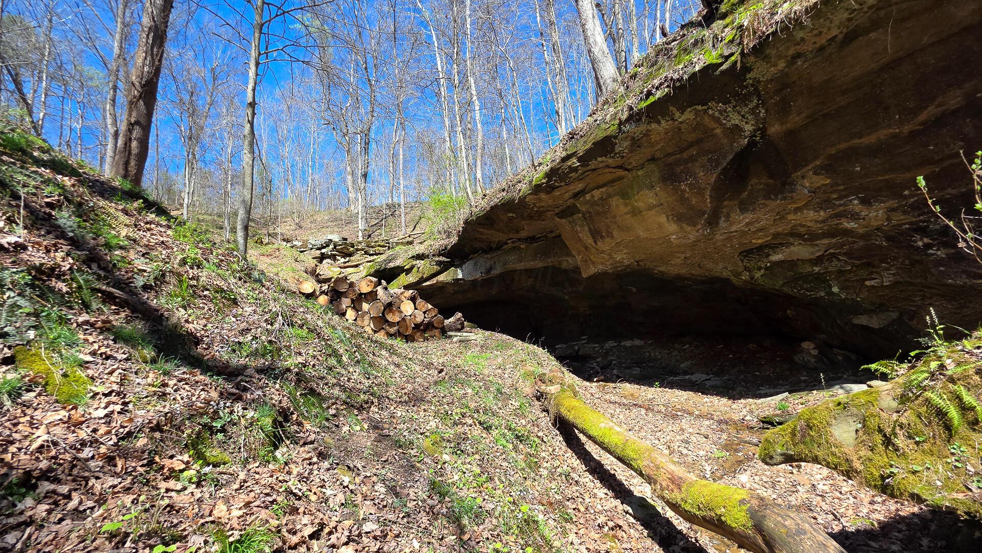 0 Remely Road, Unit MILLSTONE CAVES TRACT 1) Cutler, OH 45724 - Photo 8 of 41 CT-7