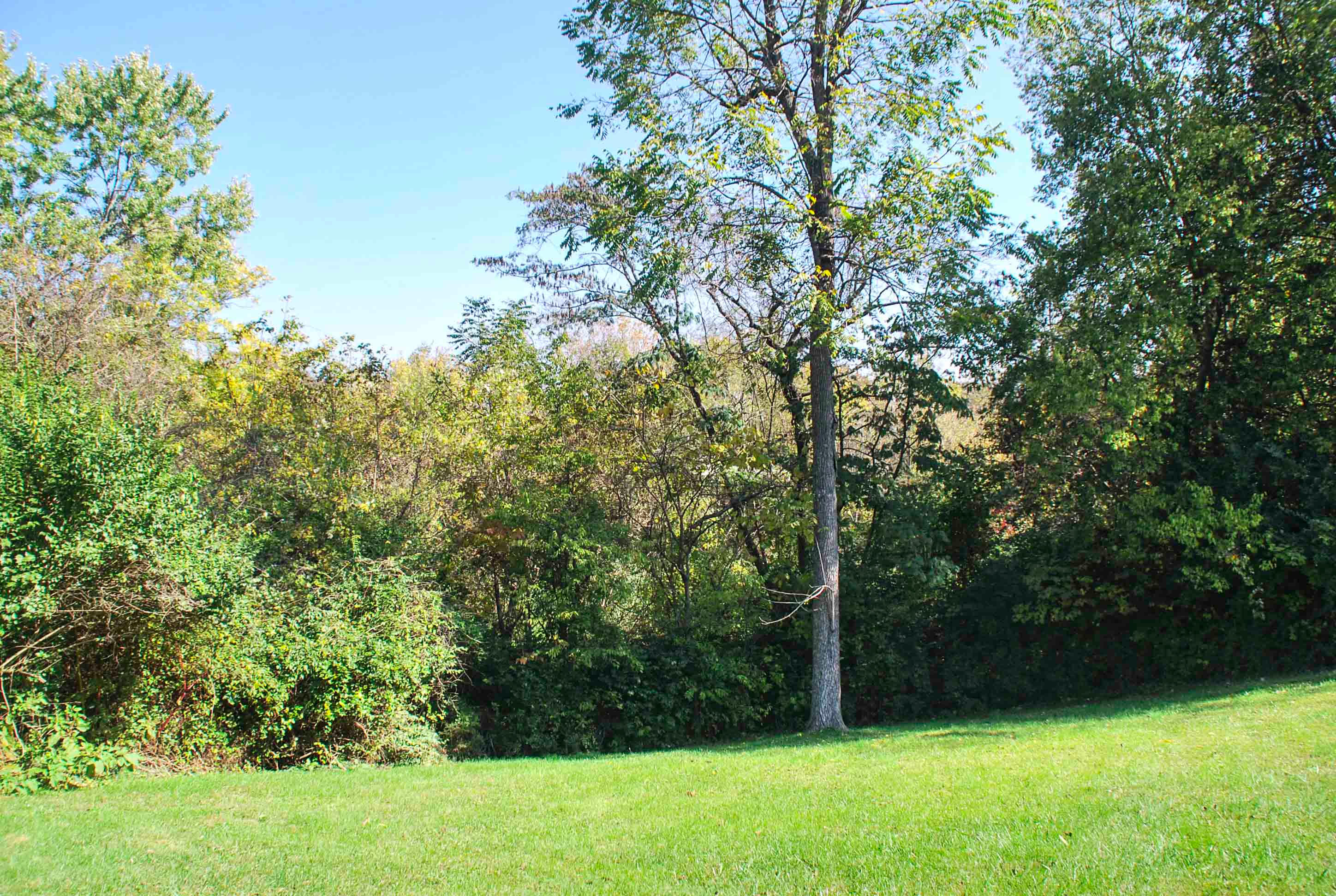 5004 Inskip Road Knoxville, TN 37918 - Photo 25 of 27 DSC_0365
