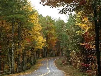 a view of a house with a trees