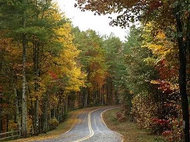 331 Vineyard Creek Way Murphy, NC 28906 - Photo 39 of 43 a view of a yard