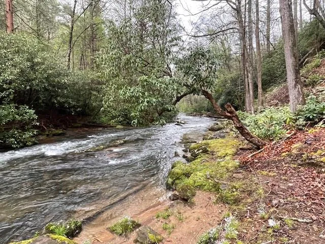 a view of outdoor space with trees