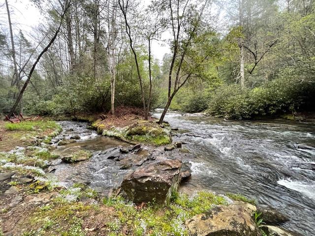 331 Vineyard Creek Way Murphy, NC 28906 - Photo 42 of 43 a view of outdoor space with trees