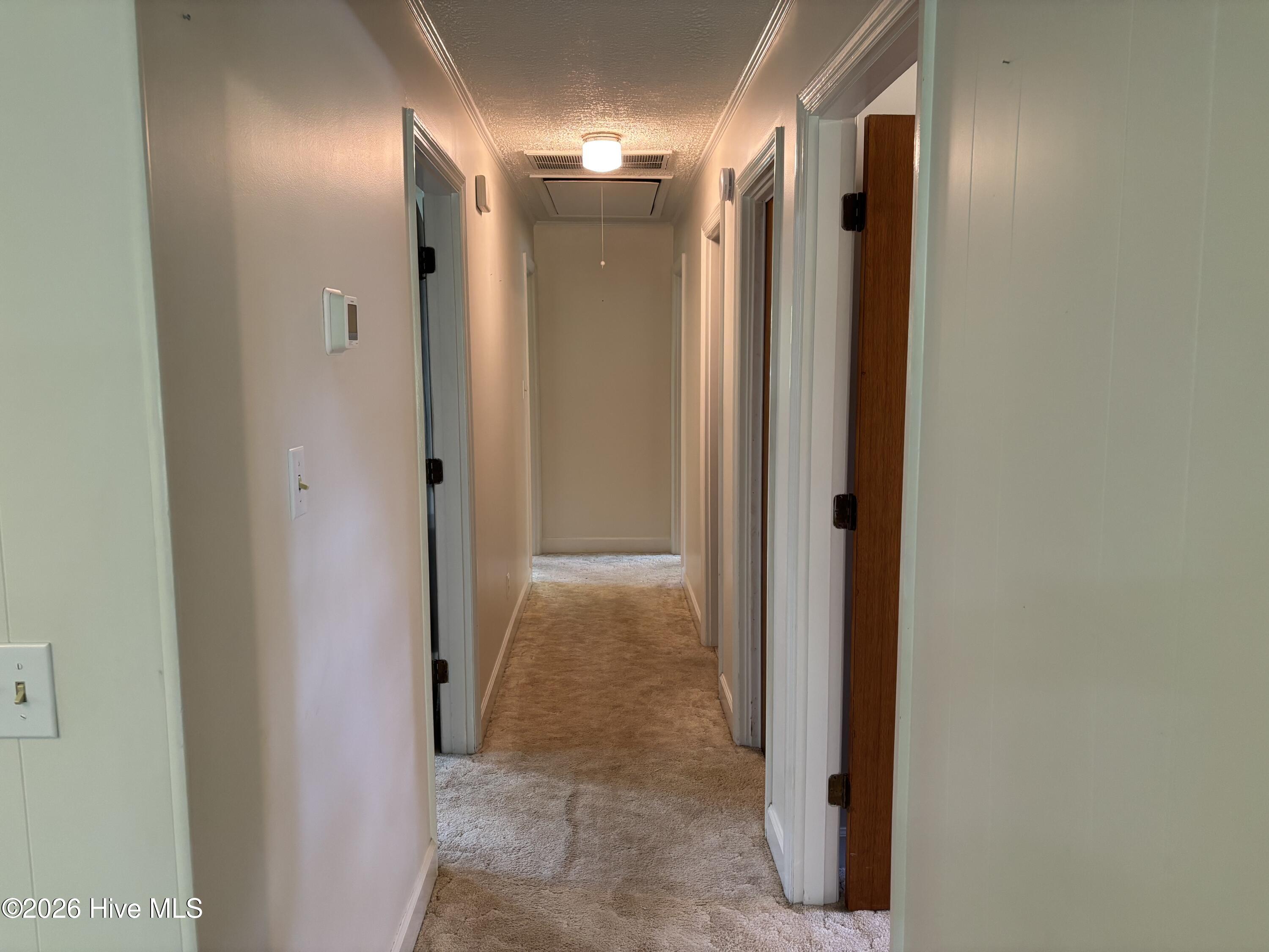 312 Neuse Cliff Road New Bern, NC 28560 - Photo 22 of 56 Hallway to bedrooms