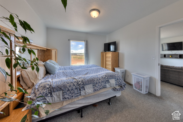 17 South Green Haven Road, Unit 2 La Sal, UT 84530 - Photo 22 of 32