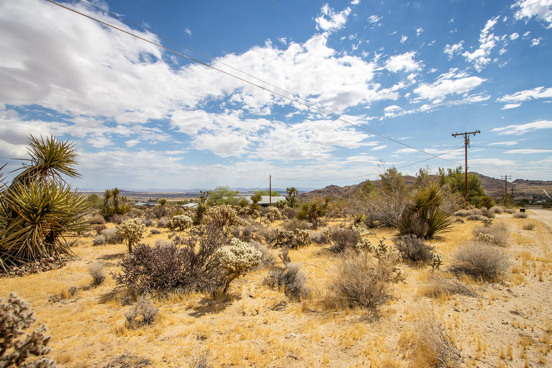 207 Onaga Trail Joshua Tree, CA 92252 - Photo 12 of 27 IMG_1886