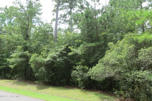 $58,500 | 0 Shore Drive East, Oriental, NC 28571