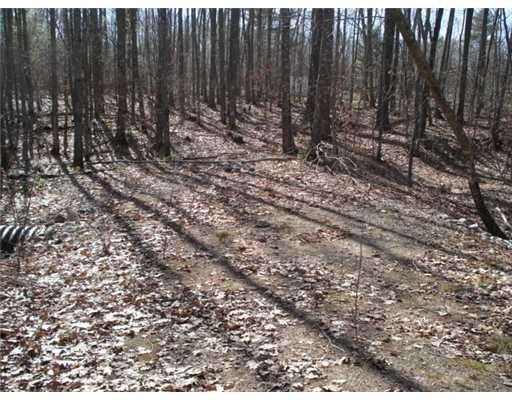 2 Batson Creek Road Kennebunkport, ME 04046 - Photo 2 of 3 Land.
