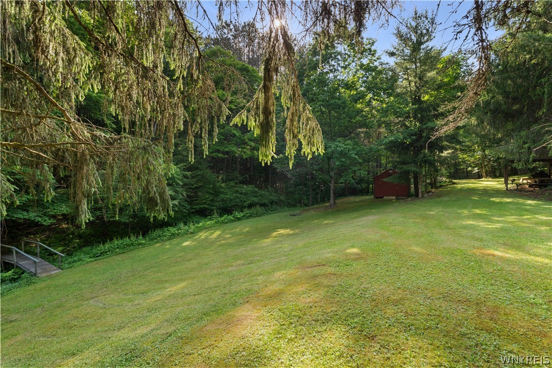 9173 Lyman Road Clarksville, NY 14727 - Photo 35 of 48 YArd