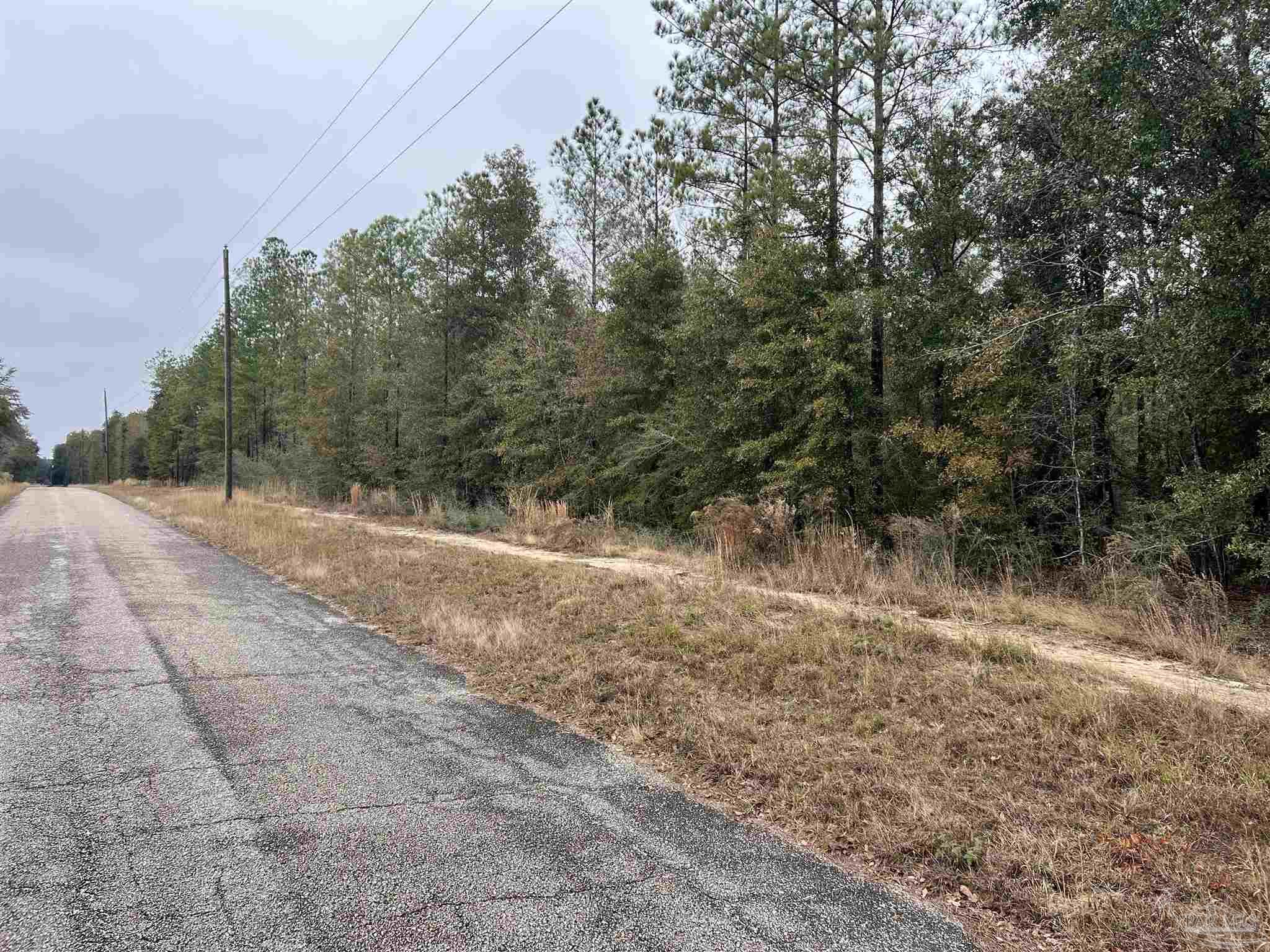 Lot 10 Pond Creek Road Milton, FL 32570 - Photo 2 of 4