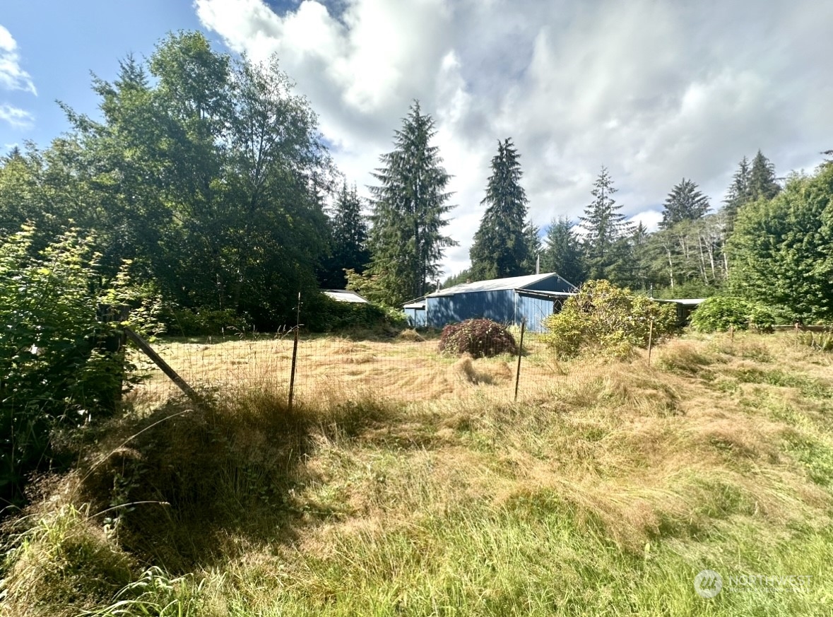 230 Salmon Drive Forks, WA 98331 - Photo 33 of 35 a view of a yard with plants and a bench