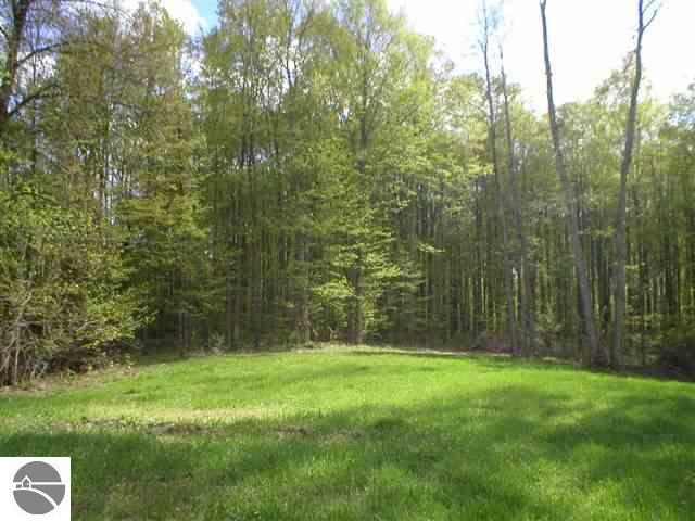 10468 North 3 Road Mesick, MI 49668 - Photo 2 of 9 1662376-1.JPG