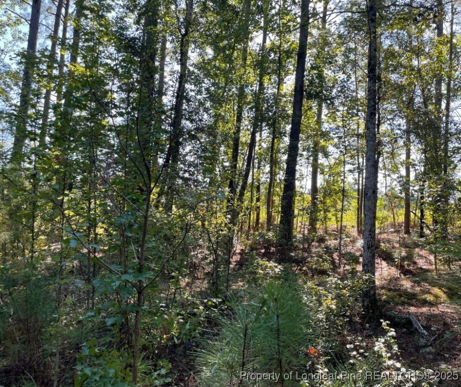 Cypress Church Road Cameron, NC 28326 - Photo 4 of 10