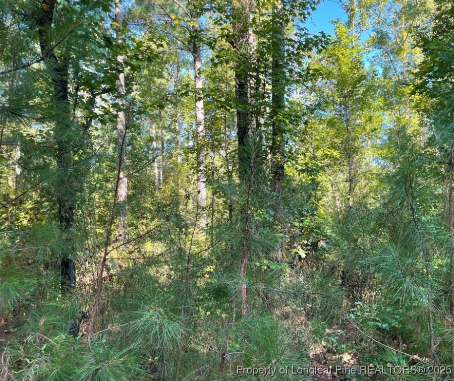 Cypress Church Road Cameron, NC 28326 - Photo 5 of 10