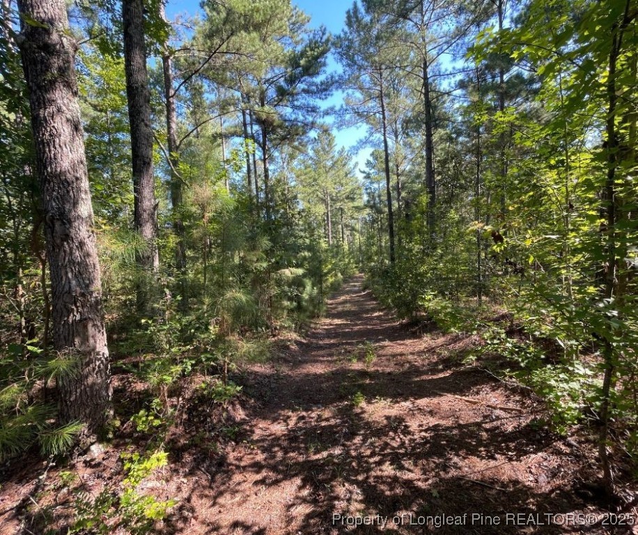 Cypress Church Road Cameron, NC 28326 - Photo 6 of 10