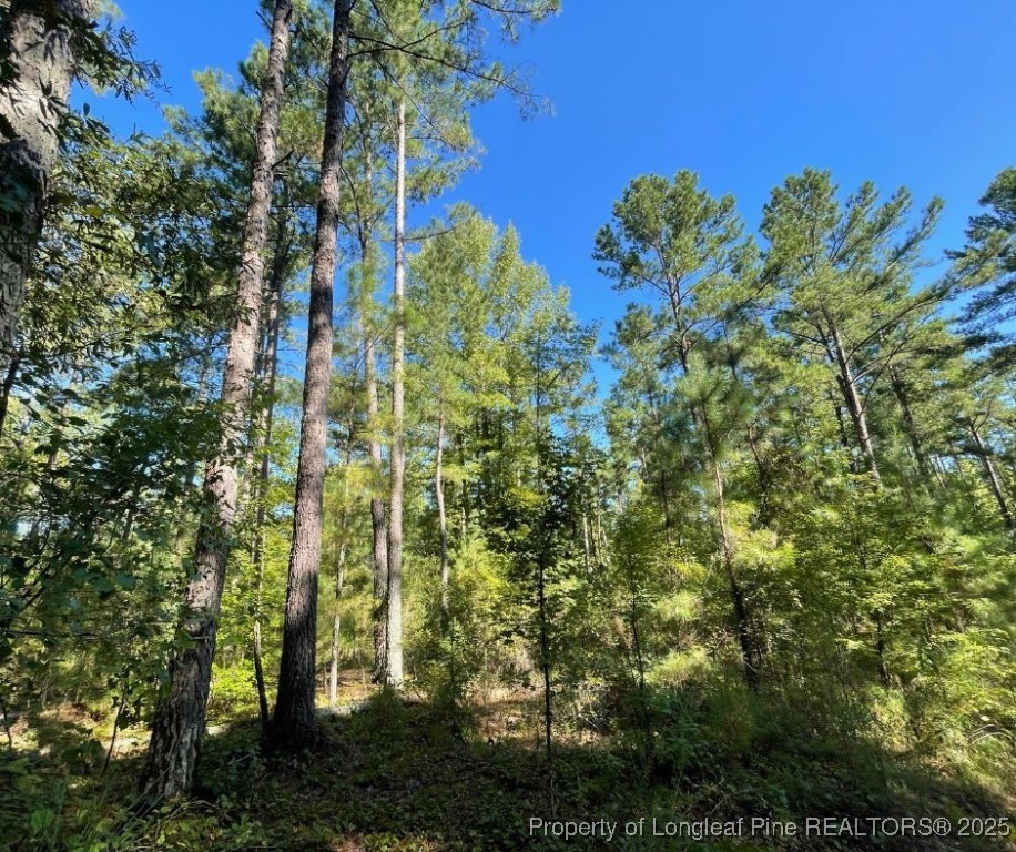 Cypress Church Road Cameron, NC 28326 - Photo 7 of 10